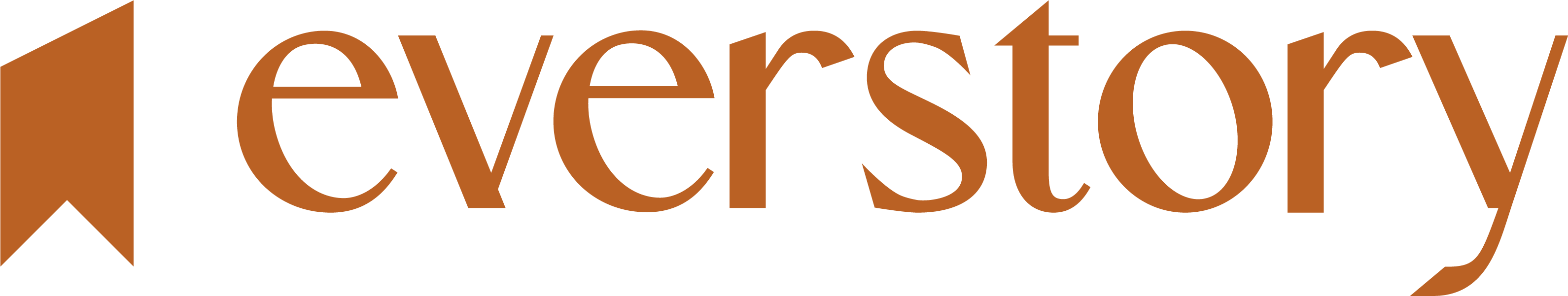 everstory SaaS
